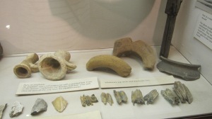 Saddlworth Museum display of Castleshaw finds